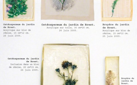 Memorandum, fleurs me rappelant le jardin de Kerzafloch, Marie-Claire Raoul