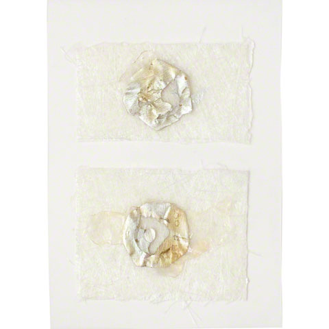 Two silvery synthetic fabric cells partially enclosed in flexible resin, each of them sewn to a melt fibreglass fabric rectangle, 20cm*30cm