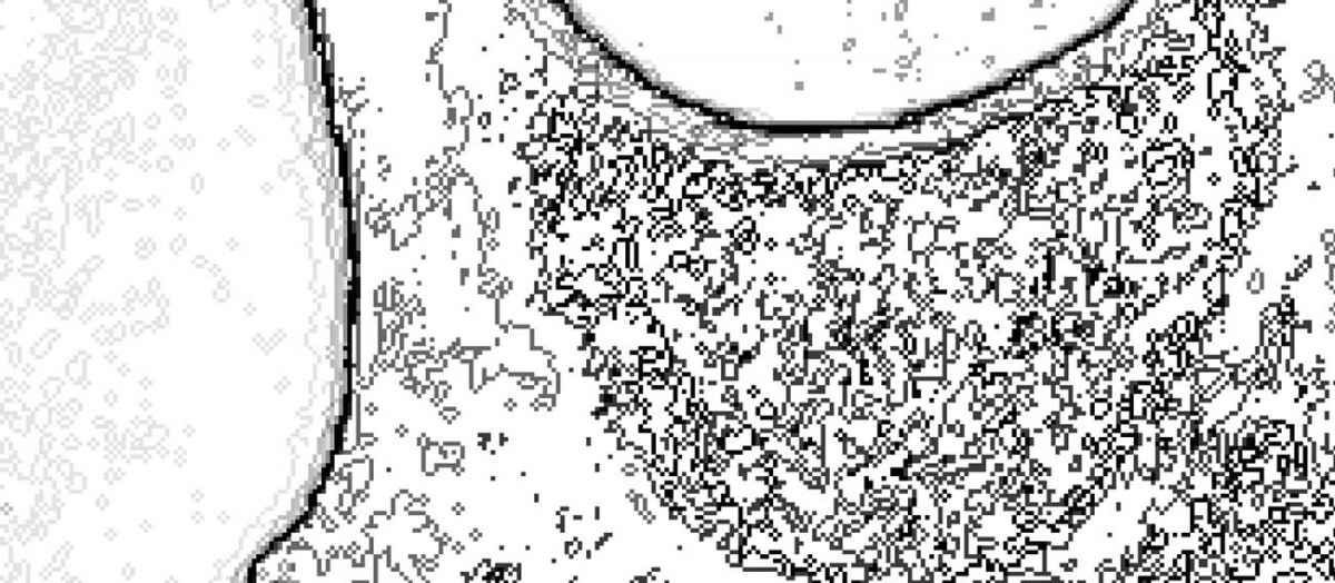 Maillot de bain américain caméscope courbes de niveaux noir et blanc (détail), Marie-Claire Raoul