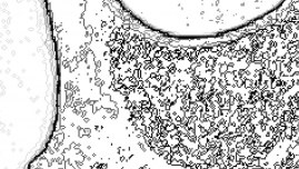 Maillot de bain américain caméscope courbes de niveaux noir et blanc (détail)