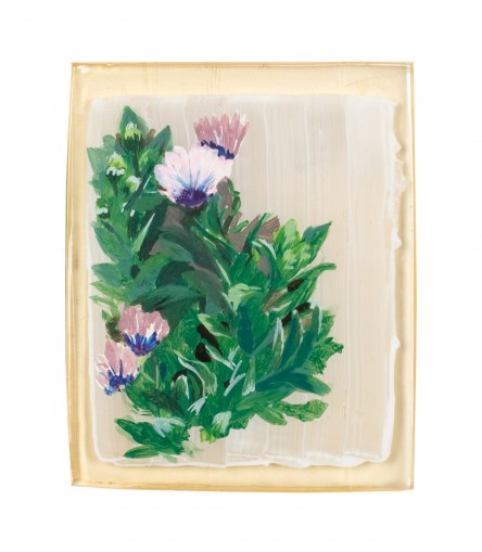 Osteospermum, paint on resin, 14th June 2005, Marie-Claire Raoul