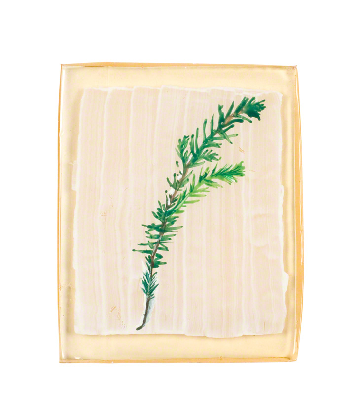 Heather from the garden in Brest, acrylic paint on a resin block, 15cm*12cm, 25th June 2005, Marie-Claire Raoul