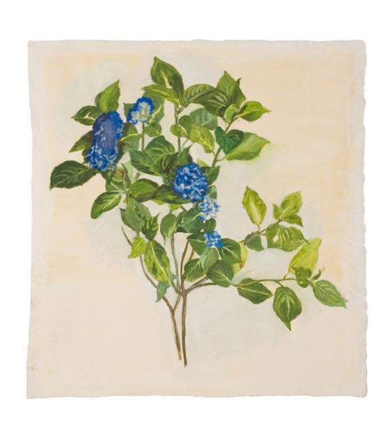 "Hydrangea", Marie-Claire Raoul