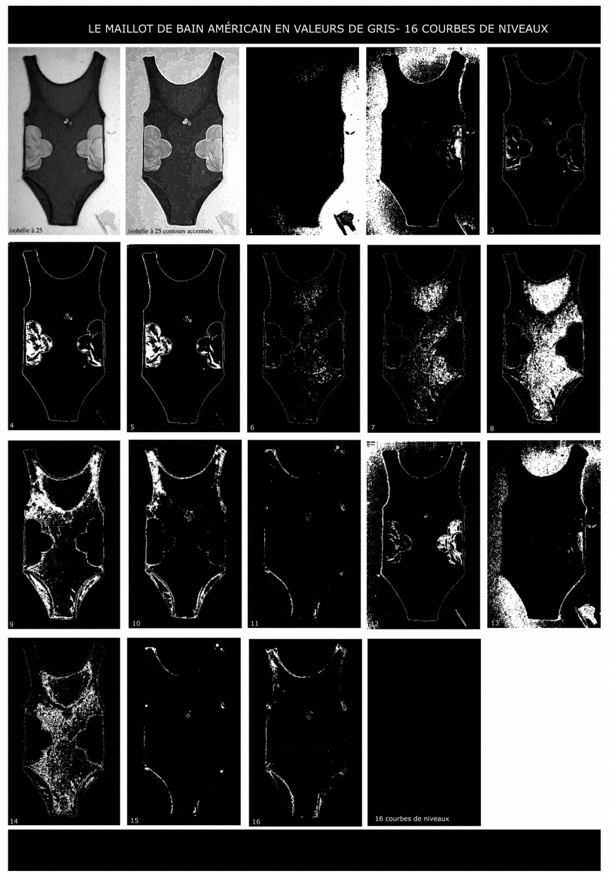 The American Bathing Suit, 16 shades of grey, the corresponding contour lines are isolated, Marie-Claire Raoul