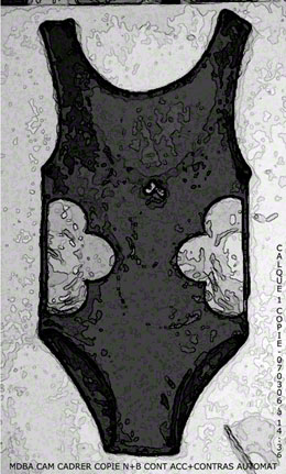 The American Bathing Suit, digital variation 14