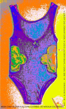 The American Bathing Suit, digital variation 16