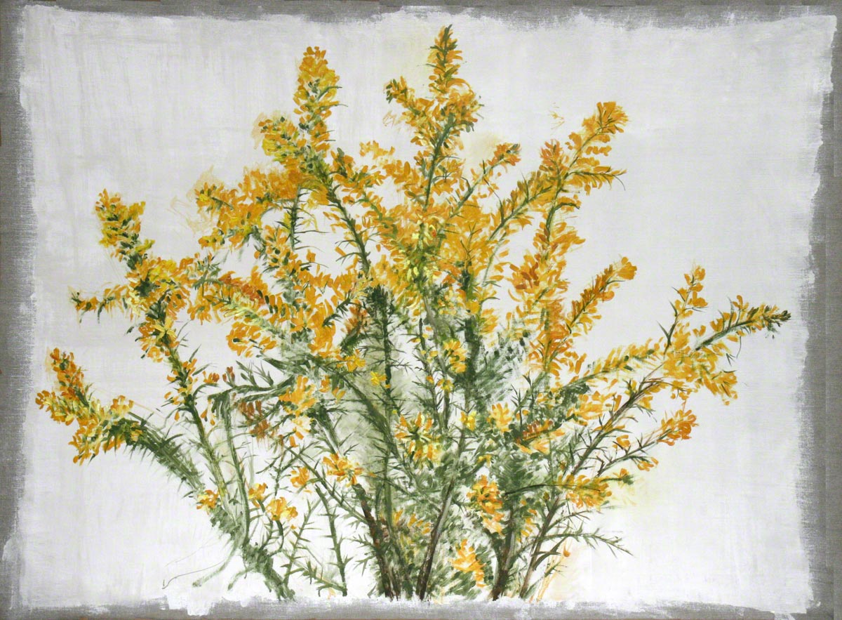Ulex flowers from Kerzafloc'h, oil on linen, Marie-Claire Raoul