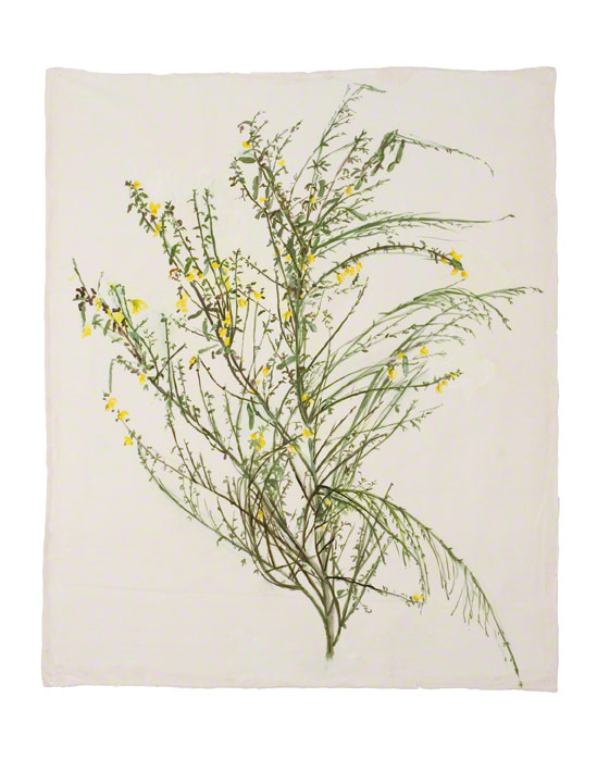 Broom from Kerzafloc'h, acrylic paint on silk, 17th July 2005, 100cm*100cm, Marie-Claire Raoul