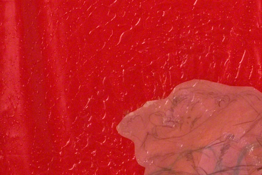 Repos 2, Jérémie dort dans un champ résineux dispersif rouge, mine de plomb sur calque, tissus enduit, résine, 120cm*80cm,novembre 2003, Marie-Claire Raoul