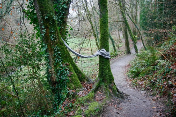 Adèle, bois de Kerhoual, 21 décembre 2016