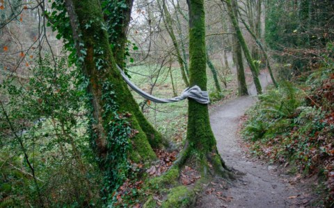 Adèle, bois de Kerhoual, 21 décembre 2016