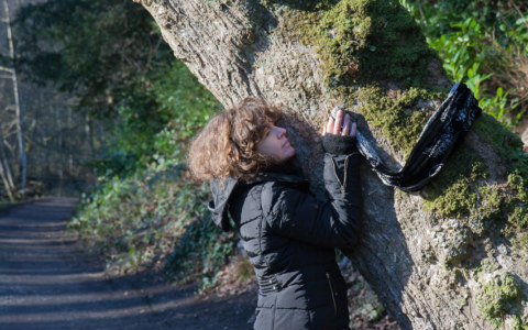Armelle, bois de Kerhoual, 18 janvier 2017