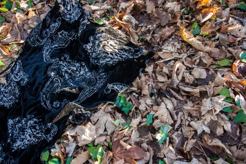 Armelle, bois de Kerhoual, 18 janvier 2017