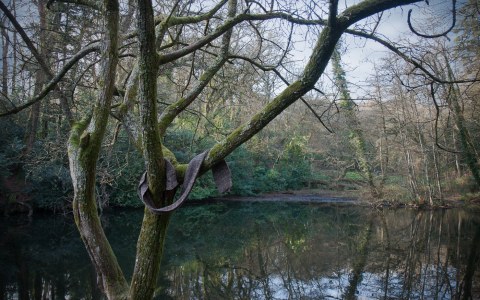Fatima, Bois de Kerhoual, 17 janvier 2017, parcours photographique