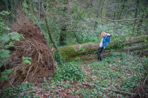 A., bois de Kerhoual, 4 avril 2017, photographies de Marie-Claire Raoul