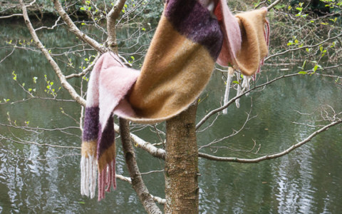 A., bois de Kerhoual, 4 avril 2017, photographies de Marie-Claire Raoul