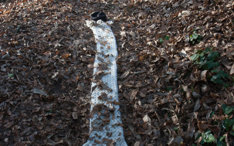 Marie-Odile, bois de Kerhoual, 24 janvier 2017