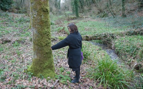 Vanessa, bois de Kerhoual, 13 février 2017