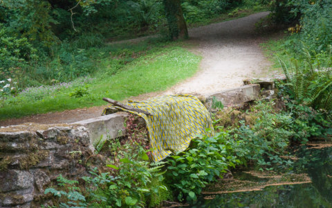 Déborah, bois de Keroual, 24 juin 2017, photographie de Marie-Claire Raoul