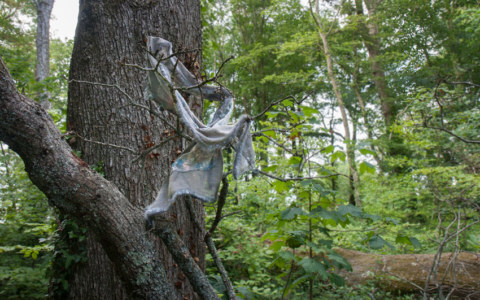 Vivian, bois de Keroual, 13 juin 2017, série photographique "Je voudrais aller me promener dans les bois", photographie réalisée par Marie-Claire Raoul lors d'une résidence à l'espace Lcause