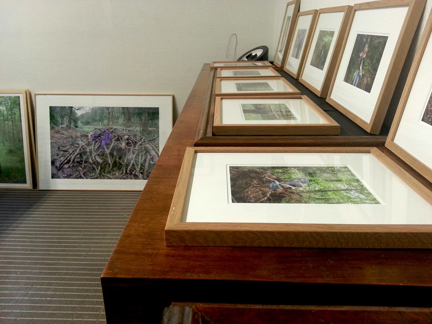 Présentation du projet photographique et du livre [Je voudrais aller me promener dans les bois : Métamorphoses] de Marie-Claire Raoul, les 20 et 21 décembre 2019 chez Zar éditions à Brest