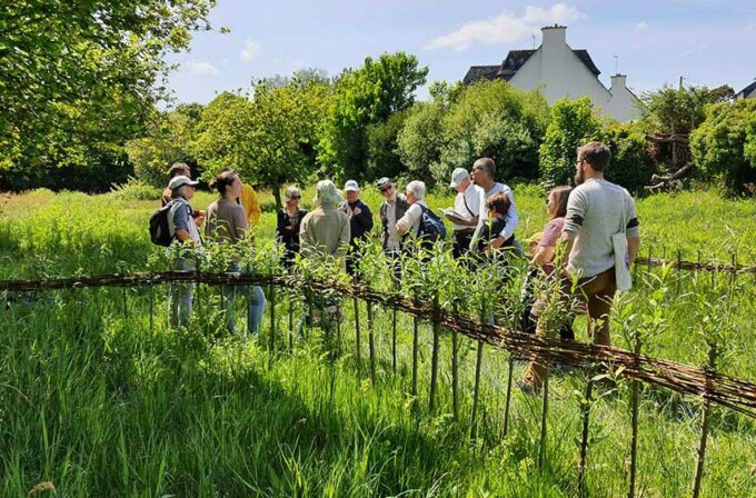 Rendez-vous au vallon du Stang-Alar le 7 mai 2022, prairie de Keravilin, exploration nature avec Bretagne vivante animée par David Nogues