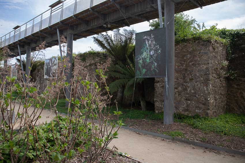 [La pierre], Jardin du Conservatoire national botanique de Brest, 2021, tirage numérique sur bâche,  140x105cm, Marie-Claire Raoul