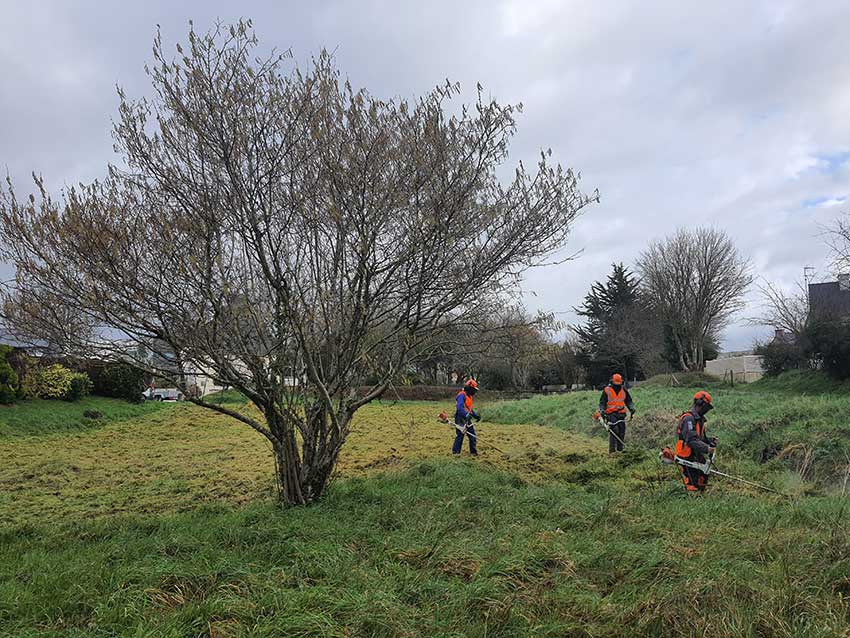 Débroussaillage de la prairie de Keravilin, à Guipavas 24 février 2022