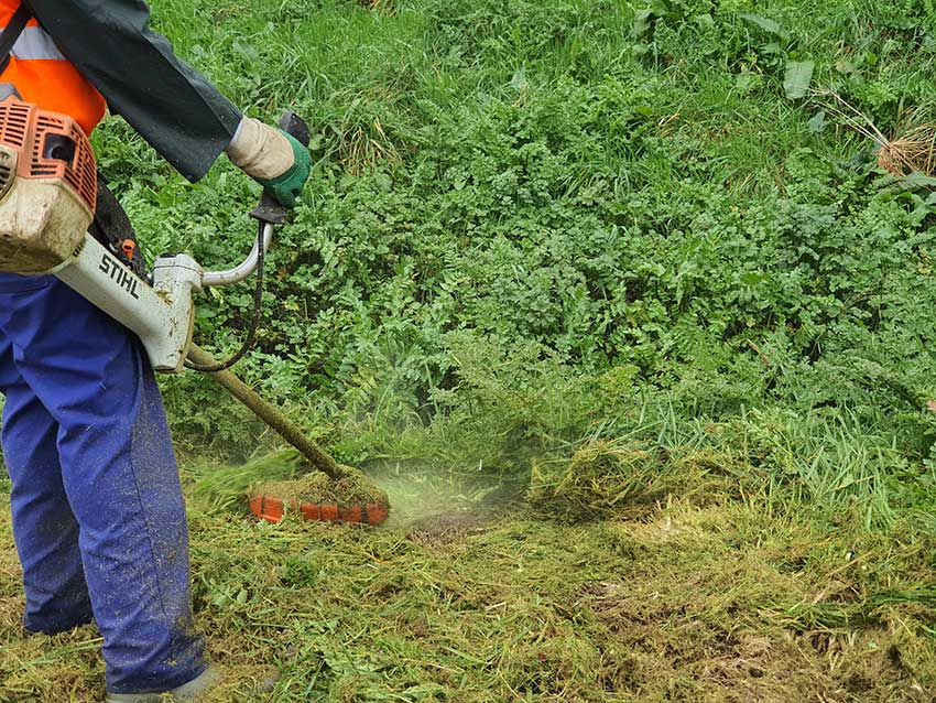 Débroussaillage de la prairie de Keravilin, à Guipavas 24 février 2022