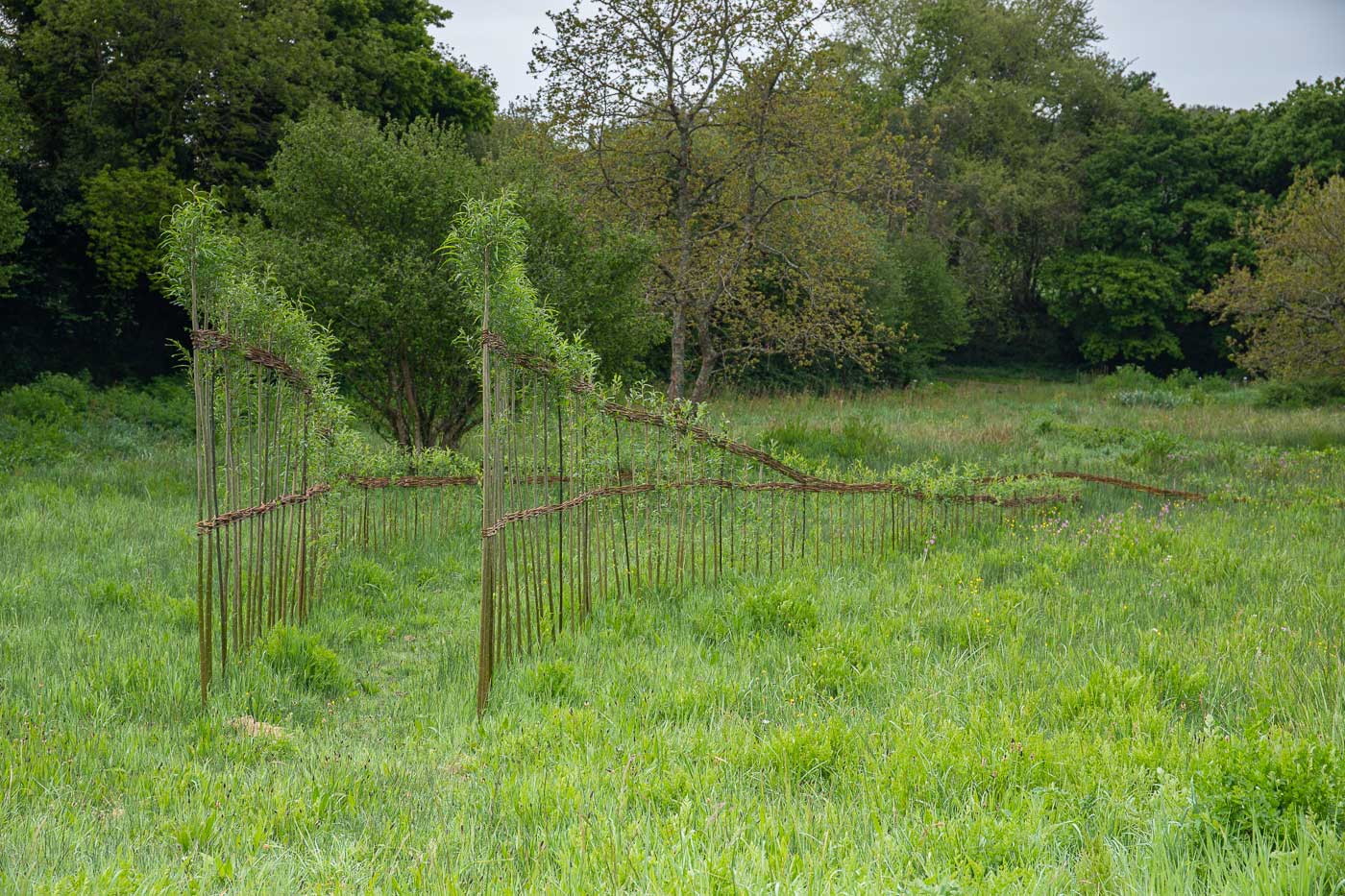 Marcher sur l'eau blanche, installation de Marie-Claire Raoul sur la prairie de Keravilin, 25 avril 2022