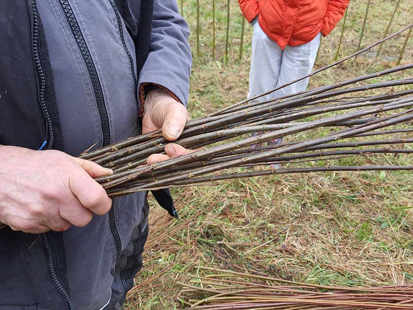 chantier participatif, construction de la sculpture [Marcher sur l'eau blanche] de Marie-Claire Raoul, 28 février 2022, prairie de Keravilin, Guipavas