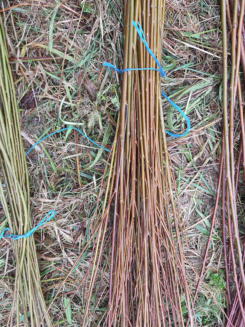 chantier participatif, construction de la sculpture [Marcher sur l'eau blanche] de Marie-Claire Raoul, 28 février 2022, prairie de Keravilin, Guipavas