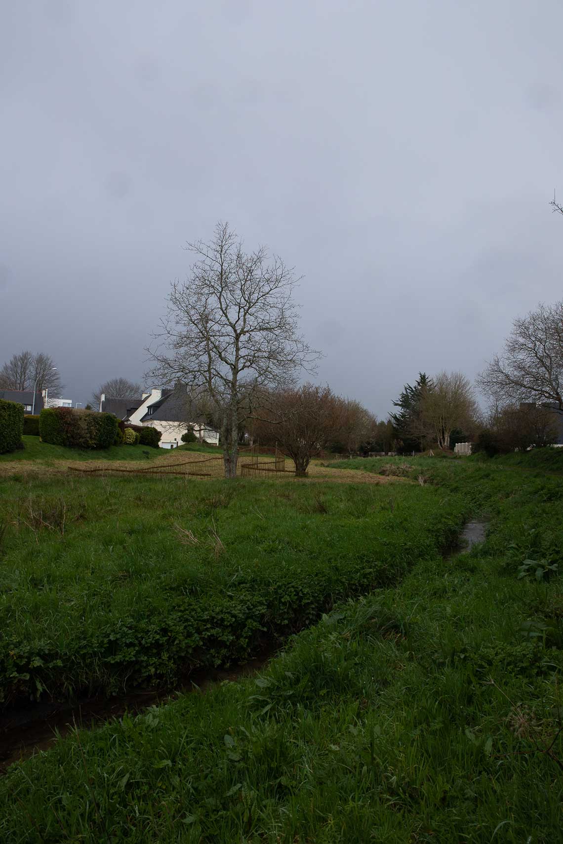 Marie-Claire Raoul, Marcher sur l'eau blanche, installation en saule vivant, 30 avril 2022, Guipavas