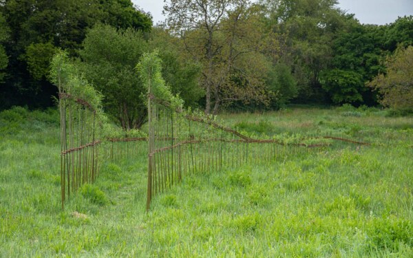 Marie-Claire Raoul, Marcher sur l'eau blanche, installation en saule vivant, 30 avril 2022, Guipavas