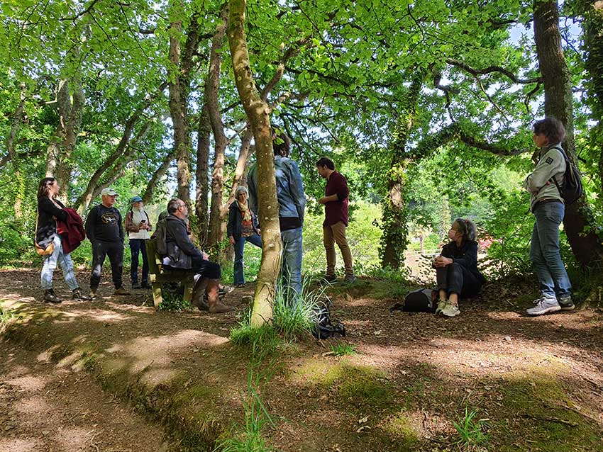 Autour de la sculpture [Marcher sur l'eau blanche] sur la prairie de Keravilin, Balade philosophique avec Yan Marchand au vallon du Stang-Alar à Guipavas, 7 mai 2022