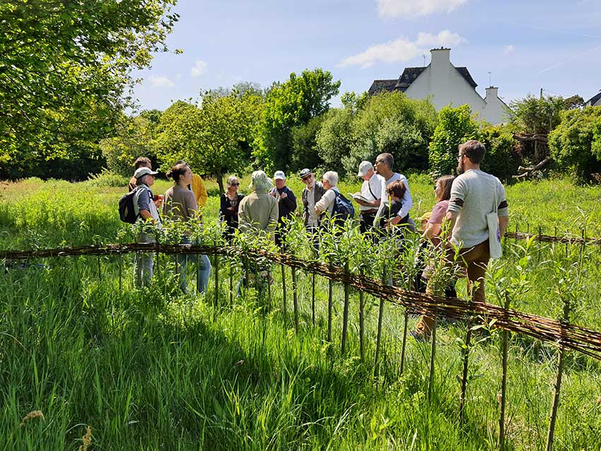 Rendez-vous au vallon du Stang-Alar le 7 mai 2022, prairie de Keravilin, exploration nature avec Bretagne vivante animée par David Nogues