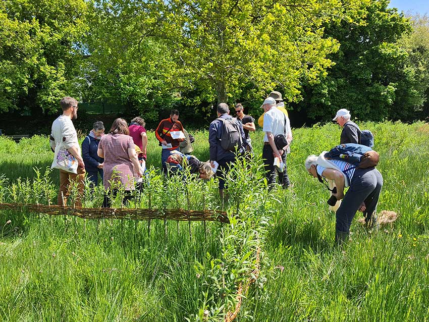 Rendez-vous au vallon du Stang-Alar le 7 mai 2022, prairie de Keravilin, exploration nature avec Bretagne vivante animée par David Nogues