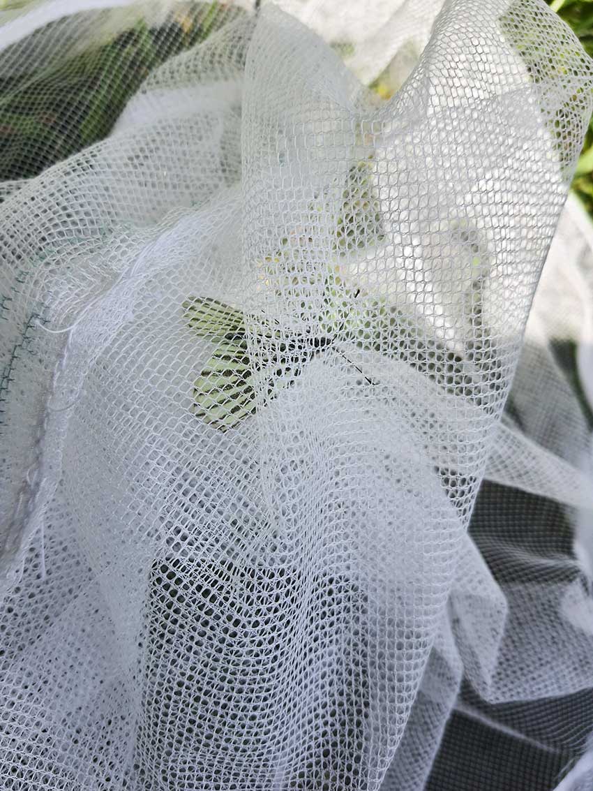 Rendez-vous au vallon du Stang-Alar le 7 mai 2022, prairie de Keravilin, exploration nature avec Bretagne vivante animée par David Nogues, papillon dans un filet