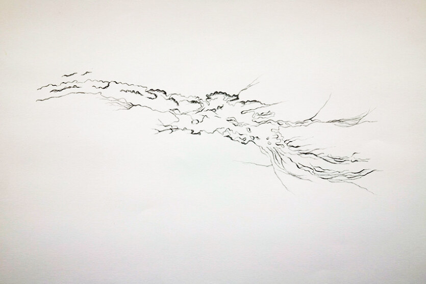 Fleur de sable, dessin sur papier Arches, 60 x 80 cm, Saint-Pabu, juin 2023., Marie-Claire Raoul