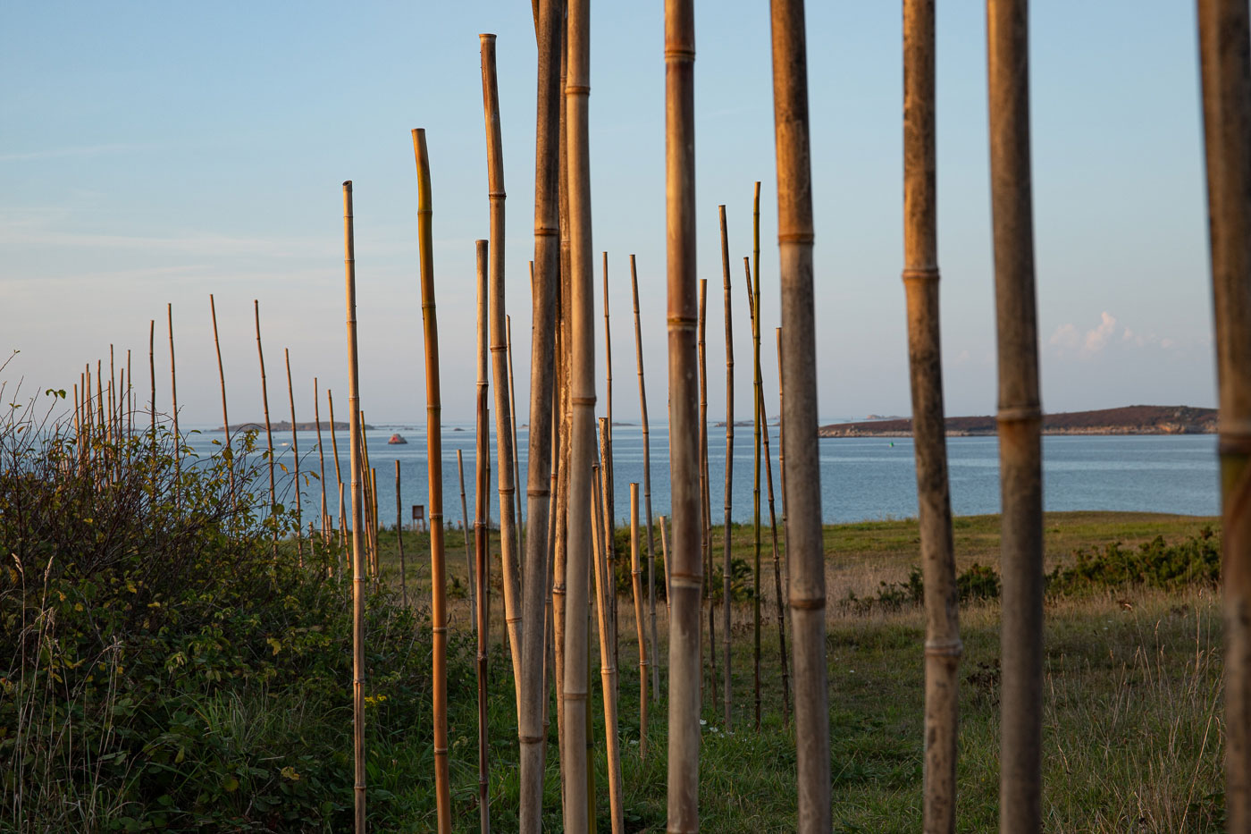 Marie-Claire-Raoul, Hent-ar-Mor, Installation en bambou sur les dunes de Toul Tréas à Saint-Pabu, vue de profil vers l'est, exposition Escale-3-Aber Benoît, été 2023