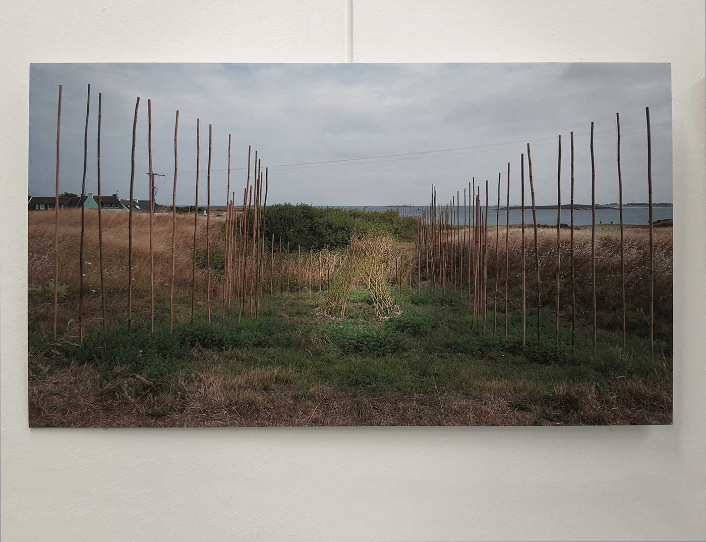 Installation en bambou et saule vivant [Dour ar Gazel] de Marie-Claire Raoulà Saint-Pabu, Escale 3, été 2023