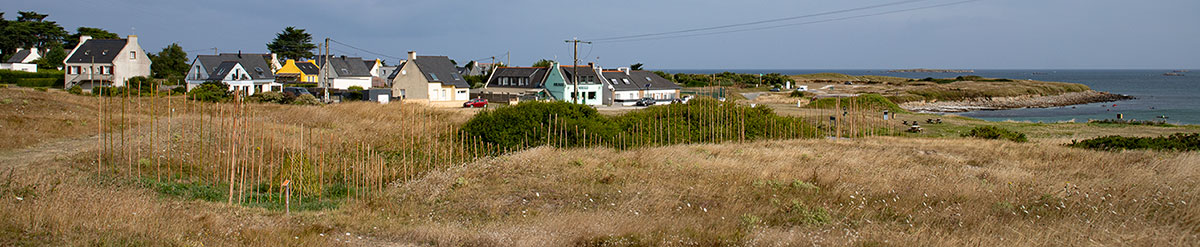 Marie-Claire-Raoul, Hent-ar-Mor, Installation en bambou sur les dunes de Toul Tréas à Saint-Pabu, vue de profil vers l'ouest, exposition Escale-3-Aber Benoît, été 2023, Marie-Claire Raoul