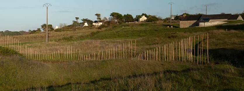 Marie-Claire-Raoul, Hent-ar-Mor, Installation en bambou sur les dunes de Toul Tréas à Saint-Pabu, vue de profil vers l'est, exposition Escale-3-Aber Benoît, été 2023, Marie-Claire Raoul