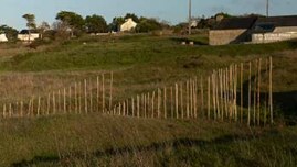 Marie-Claire-Raoul, Hent-ar-Mor, Installation en bambou sur les dunes de Toul Tréas à Saint-Pabu, vue de profil vers l'est, exposition Escale-3-Aber Benoît, été 2023