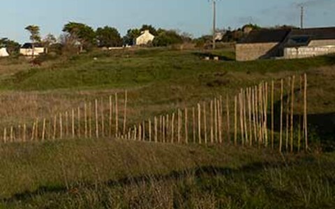 Marie-Claire-Raoul, Hent-ar-Mor, Installation en bambou sur les dunes de Toul Tréas à Saint-Pabu, vue de profil vers l'est, exposition Escale-3-Aber Benoît, été 2023, Marie-Claire Raoul