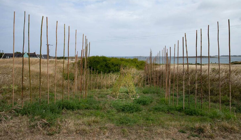 Marie-Claire-Raoul, Hent-ar-Mor, Installation en bambou sur les dunes de Toul Tréas à Saint-Pabu, vue de face en direction de la mer, exposition Escale-3-Aber Benoît, été 2023, Marie-Claire Raoul