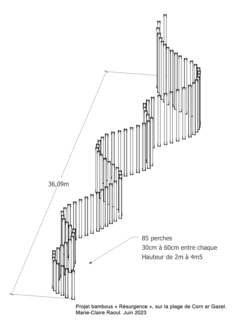 Proposition 2, dessin 2D « Hent Ar Mor ». Sur les dunes végétalisées, la structure longera le fourré sous lequel le rû s’écoule à très faible débit. Elle suivra un dénivelé aléatoire. Plus petite hauteur 0,8 m. Plus grande hauteur 3 m 50. Photographie, janvier 2023., Marie-Claire Raoul