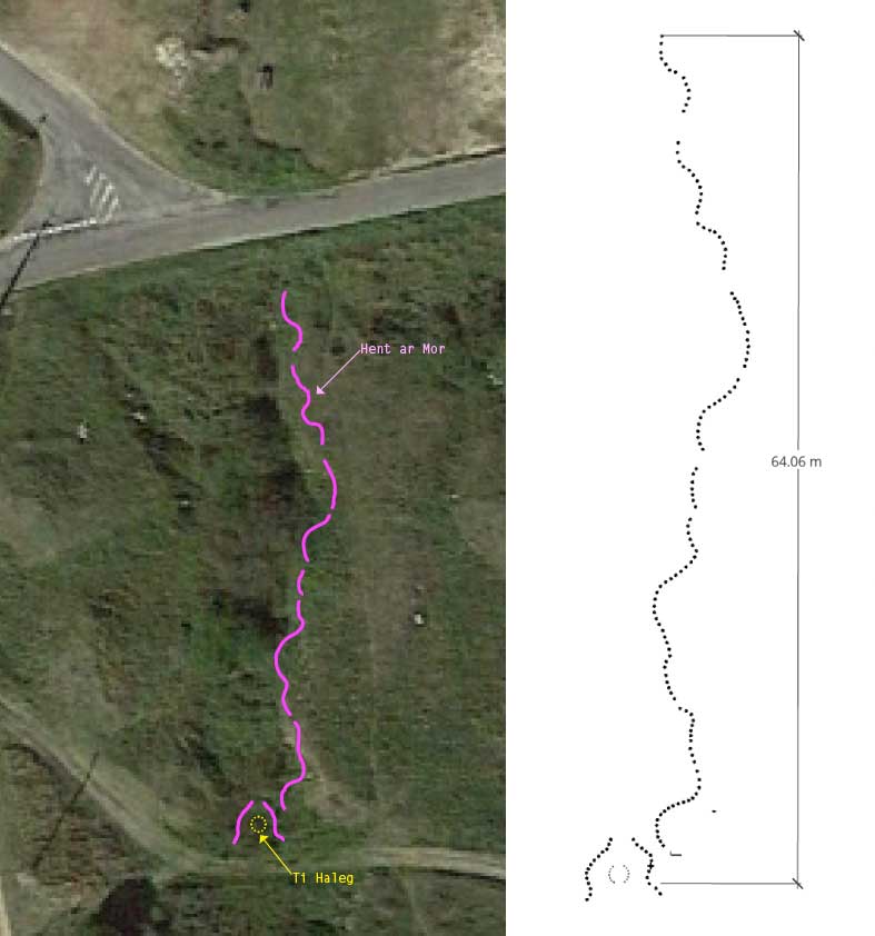 Proposition "Ty Haleg" sur les dunes de Toul Tréas. Vue de dessus. Largeur 10 m x longueur 64 m.