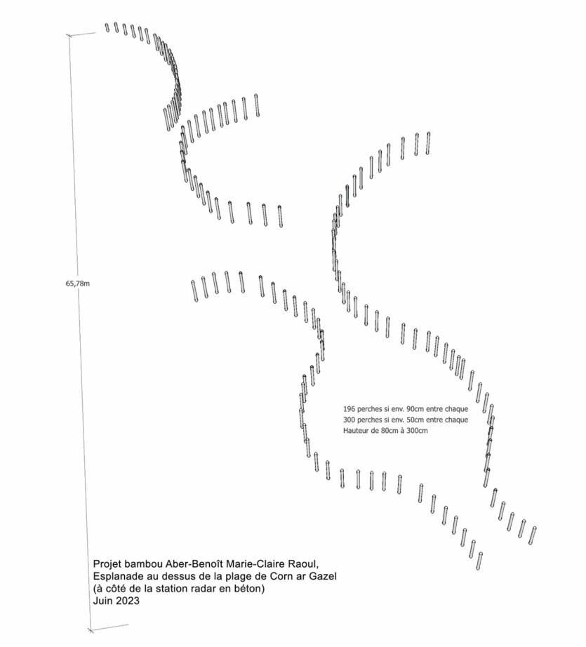 Proposition 2, dessin 2D « Hent Ar Mor ». Sur les dunes végétalisées, la structure longera le fourré sous lequel le rû s’écoule à très faible débit. Elle suivra un dénivelé aléatoire. Plus petite hauteur 0,8 m. Plus grande hauteur 3 m 50. Photographie, janvier 2023., Marie-Claire Raoul